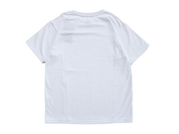 THE NORTH FACE(ザ ノースフェイス)/ S/S Small Box Logo Tee -2.COLOR 