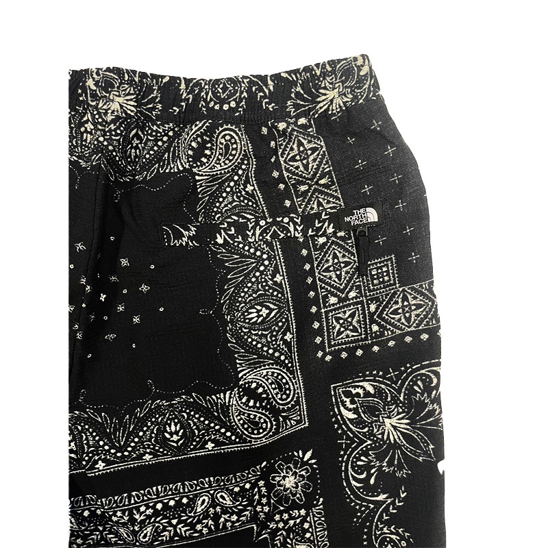 THE NORTH FACE(ザ ノースフェイス)/ ALOHA VENT SHORTS -2.COLOR-