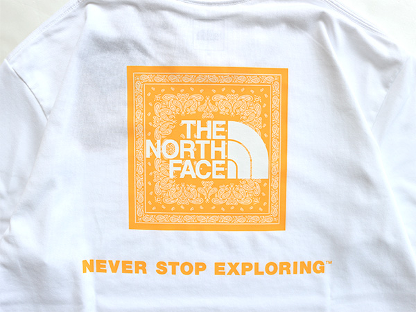 THE NORTH FACE(ザ ノースフェイス)/ S/S Bandana Square Logo Tee -2