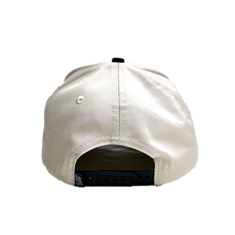 WORLD FAMOUS LA SNAPBACK -SILVER-