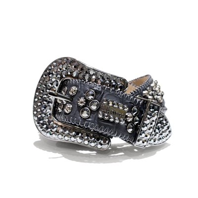 バリエーション画像