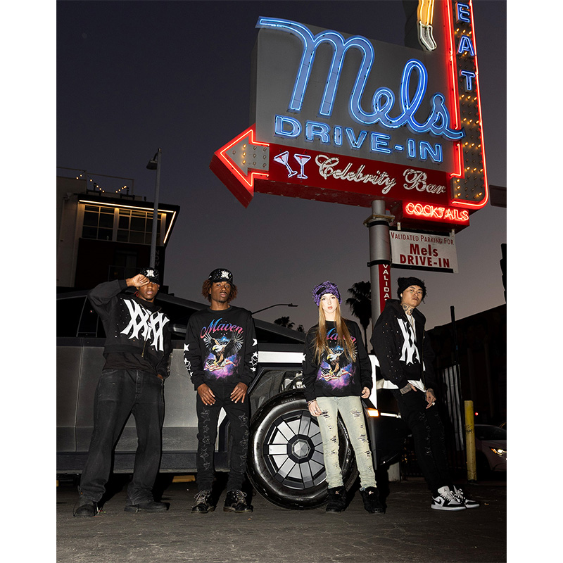 STAR CRASH SKINNY PANTS -W.INDIGO-